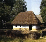 muzeul satului.