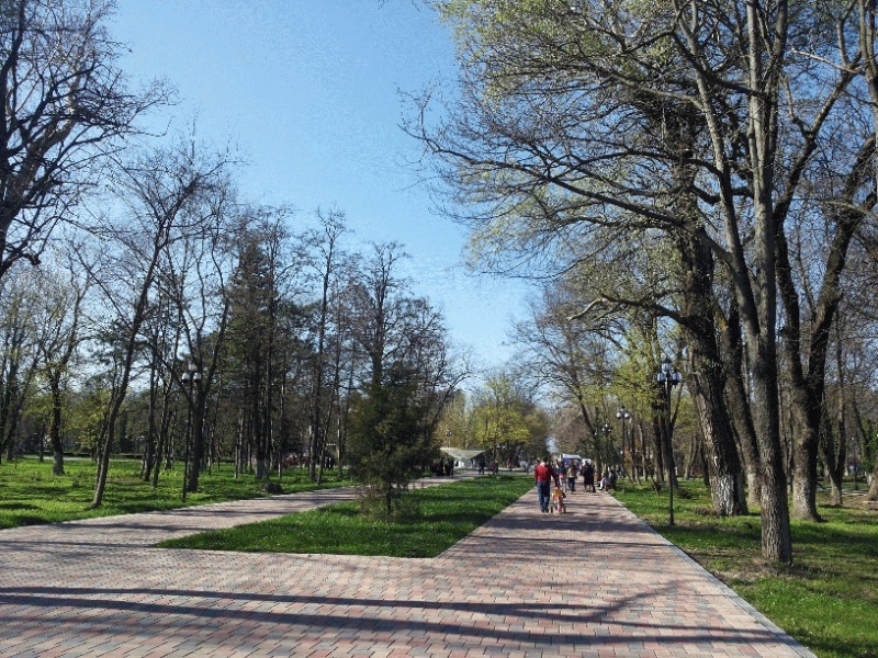 File:Intrarea dinspre muzical.jpg