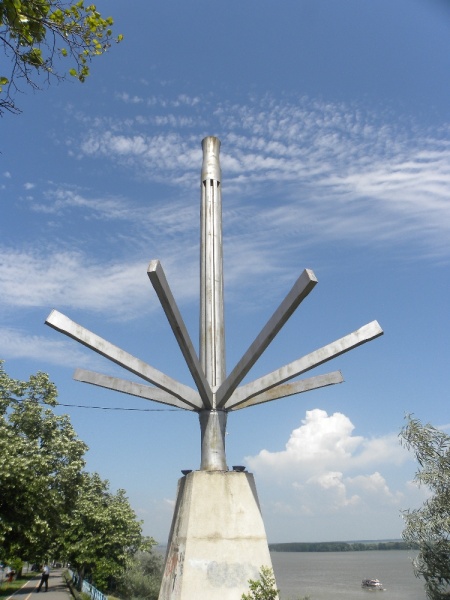 File:Fructul soarelui8631.jpg