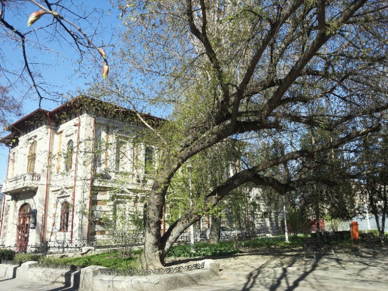 File:Parc.1026.jpg